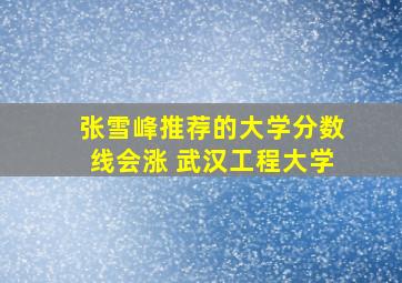 张雪峰推荐的大学分数线会涨 武汉工程大学